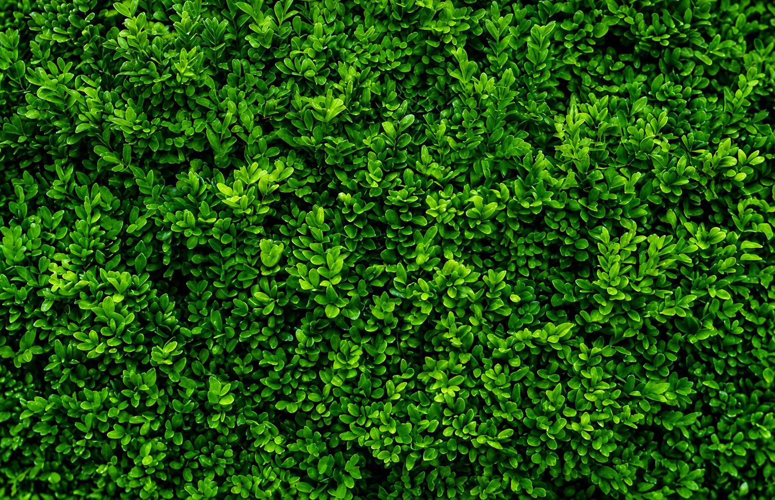 Hero Background